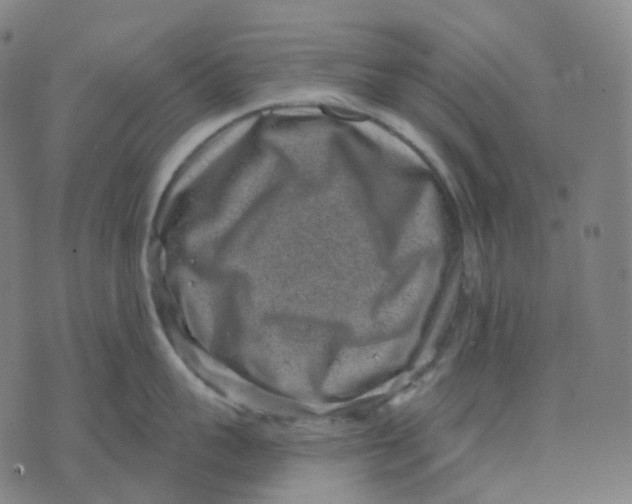 X0000071800959200607211644