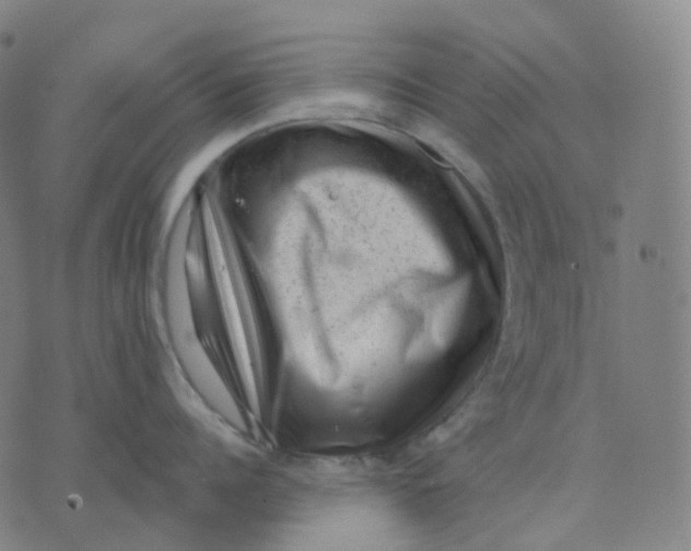 X0000071800960200607211644