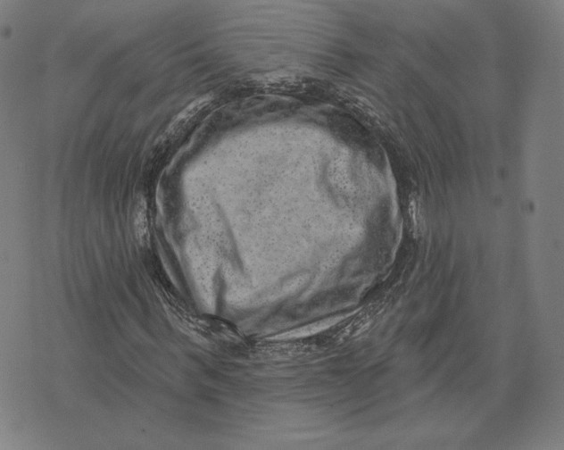 X0000071800963200607211643