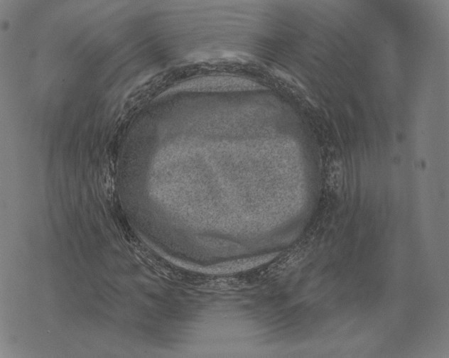 X0000071800966200607211643