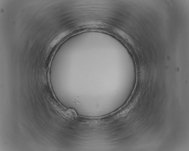 X0000071800970200607211643