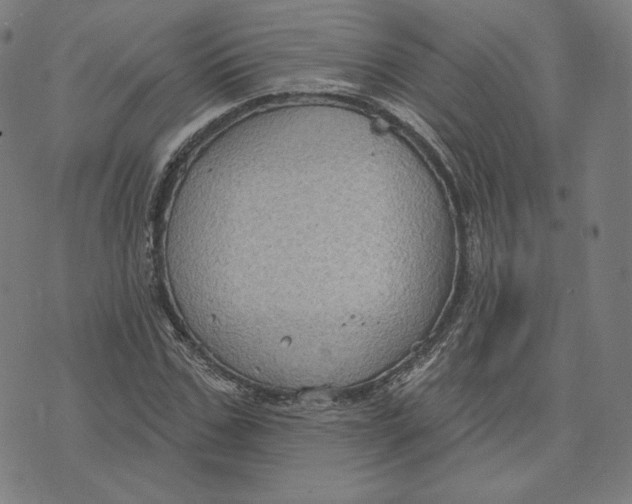 X0000071800971200607211643