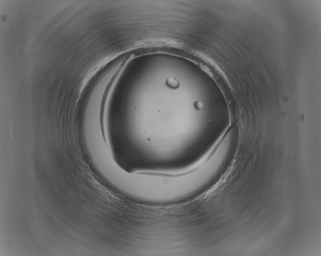 X0000071800973200607211643