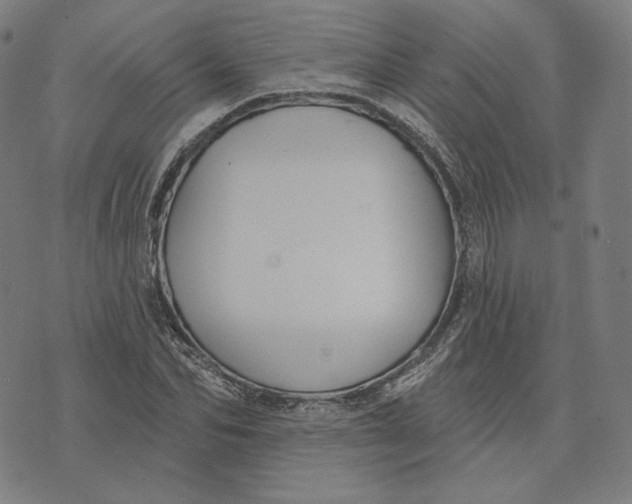 X0000071800974200607211643