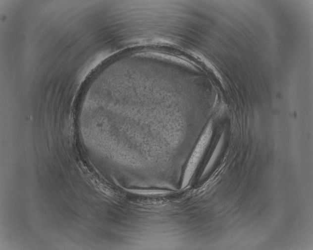 X0000071800975200607211643