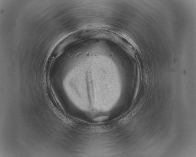 X0000071800976200607211643