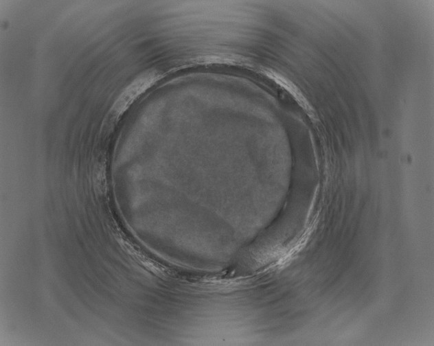 X0000071800977200607211643