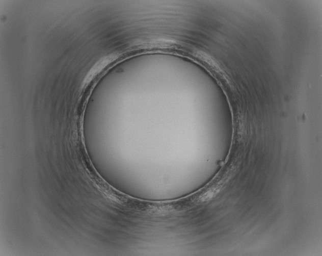 X0000071800978200607211643