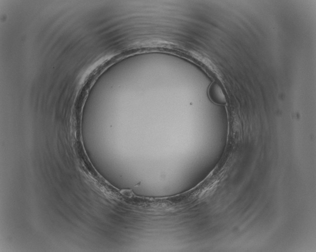 X0000071800979200607211643