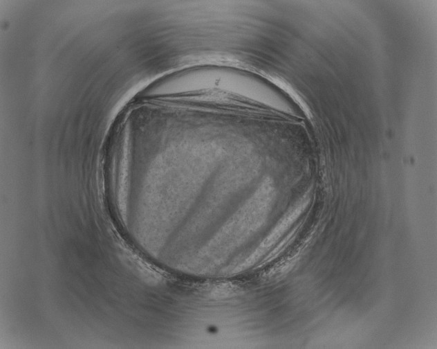 X0000071800983200607211642