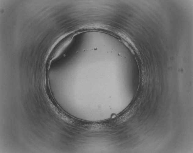 X0000071800984200607211642