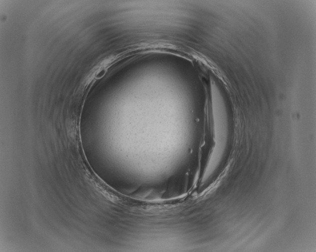 X0000071800985200607211642