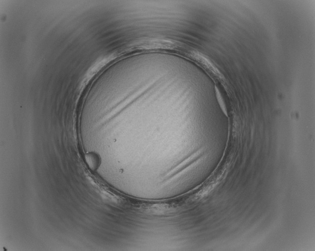 X0000071800986200607211642