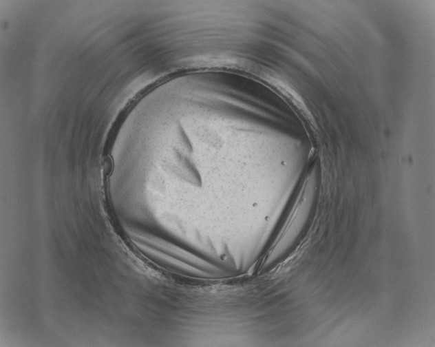 X0000071800992200607211642