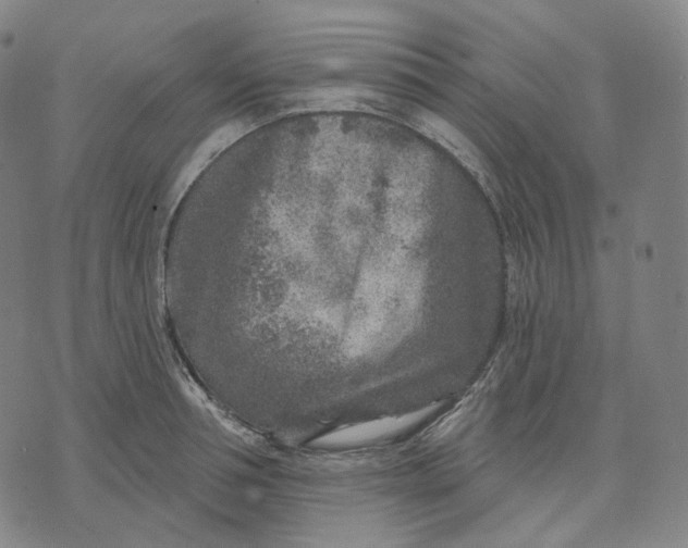 X0000071800994200607211642