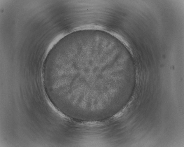 X0000071800998200607211642