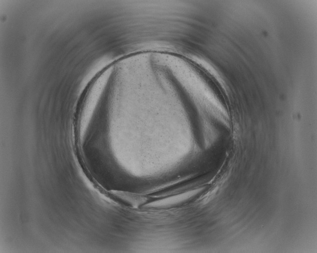 X0000071800999200607211642