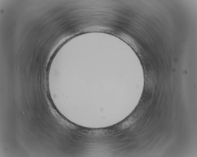 X0000071801000200607211642