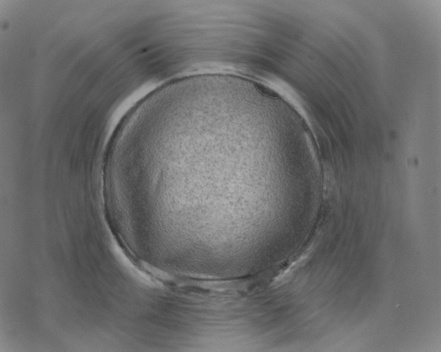 X0000071801003200607211642