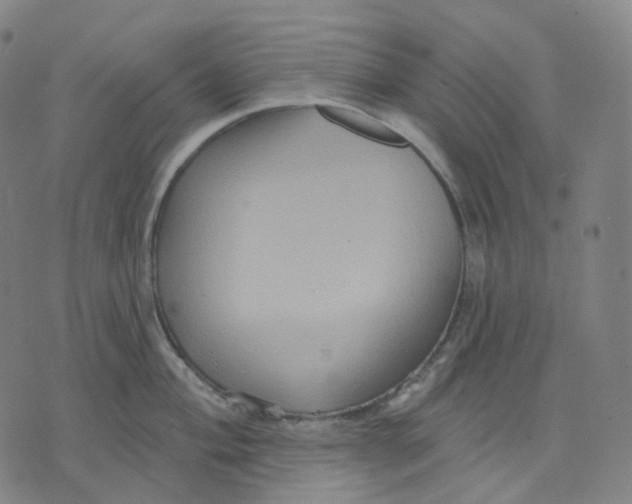 X0000071801004200607211642