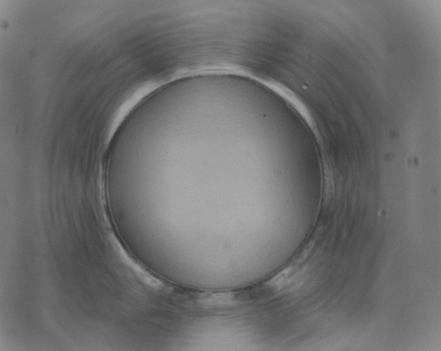 X0000071801006200607211642