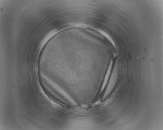 X0000071801007200607211642