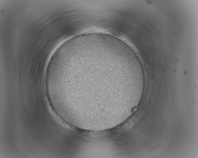 X0000071801008200607211642