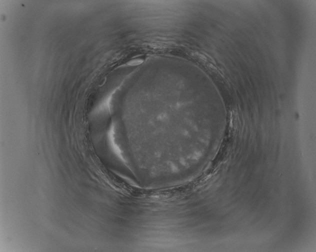 X0000071801009200607211641