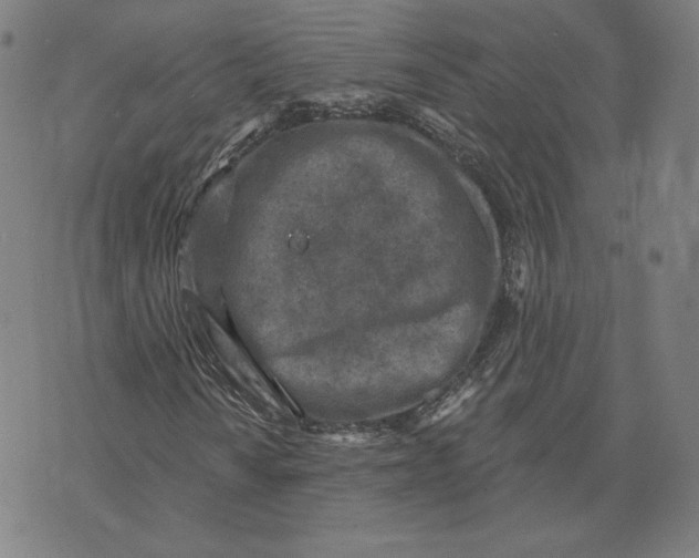 X0000071801010200607211641