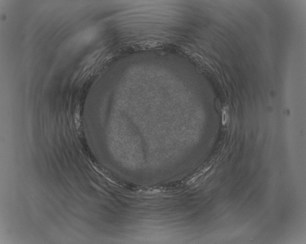 X0000071801011200607211641