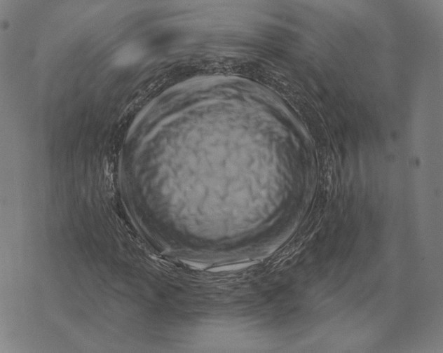 X0000071801013200607211641