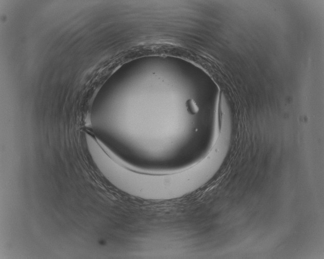 X0000071801014200607211641