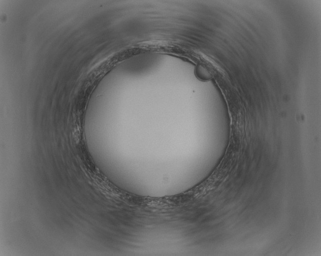 X0000071801015200607211641