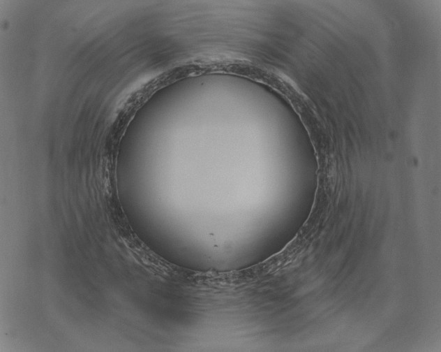 X0000071801016200607211641