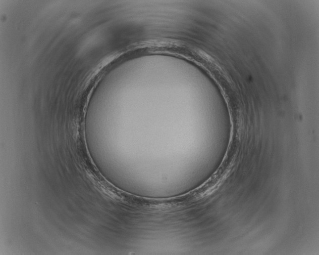 X0000071801017200607211641