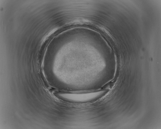 X0000071801018200607211641