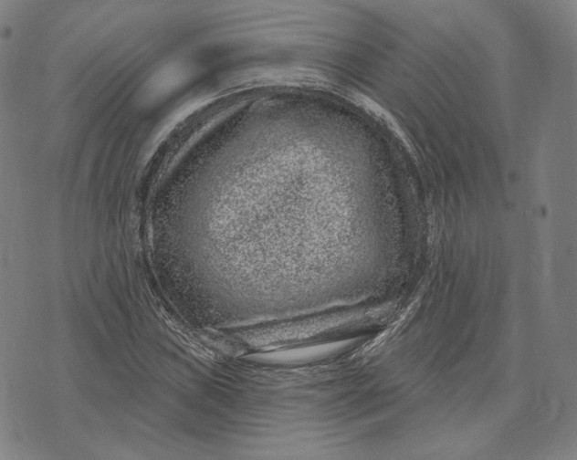 X0000071801019200607211641