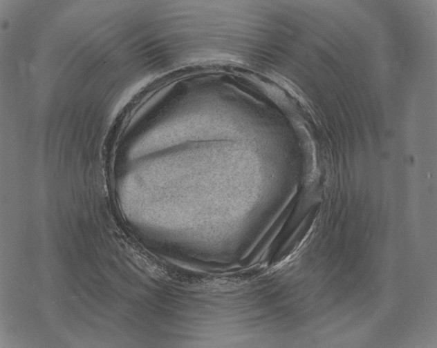 X0000071801022200607211641