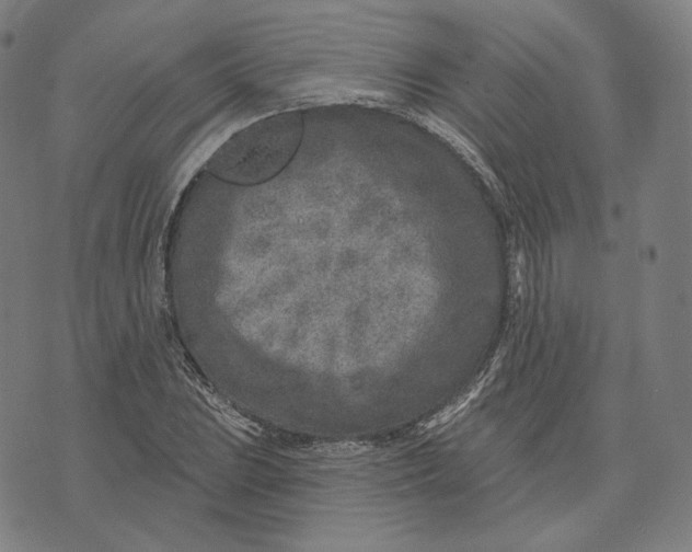 X0000071801023200607211642