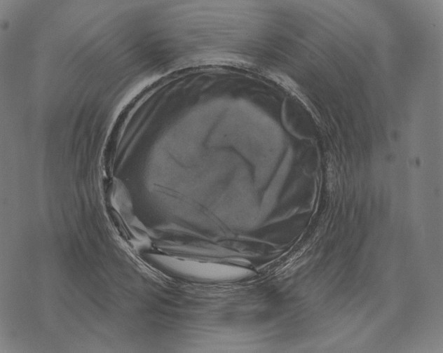 X0000071801024200607211642