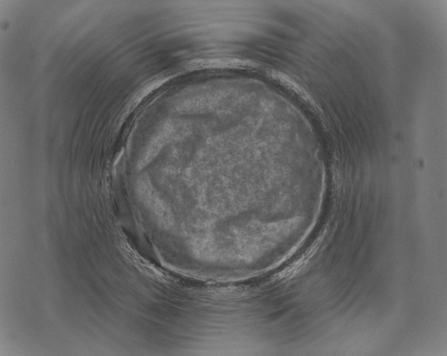 X0000071801025200607211642