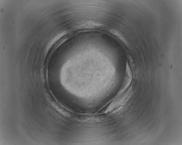 X0000071801026200607211642