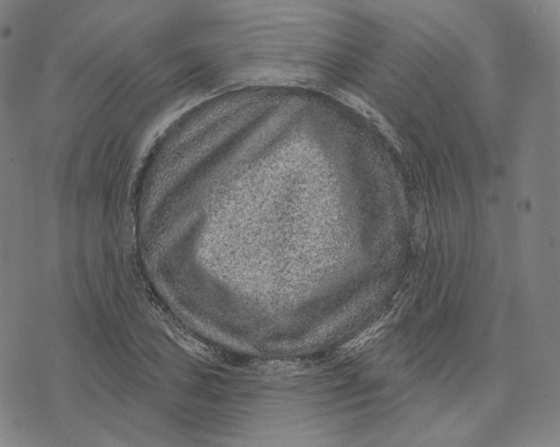 X0000071801027200607211642