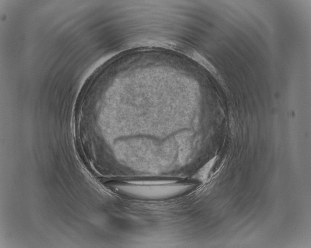 X0000071801028200607211642