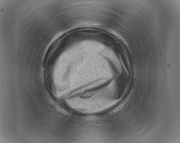 X0000071801029200607211642