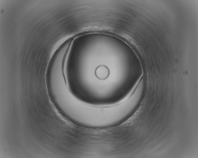 X0000071801030200607211642