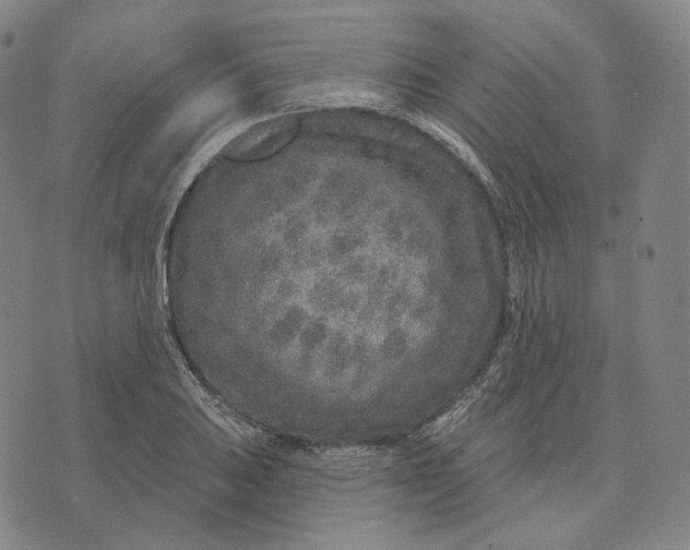 X0000071801031200607211642