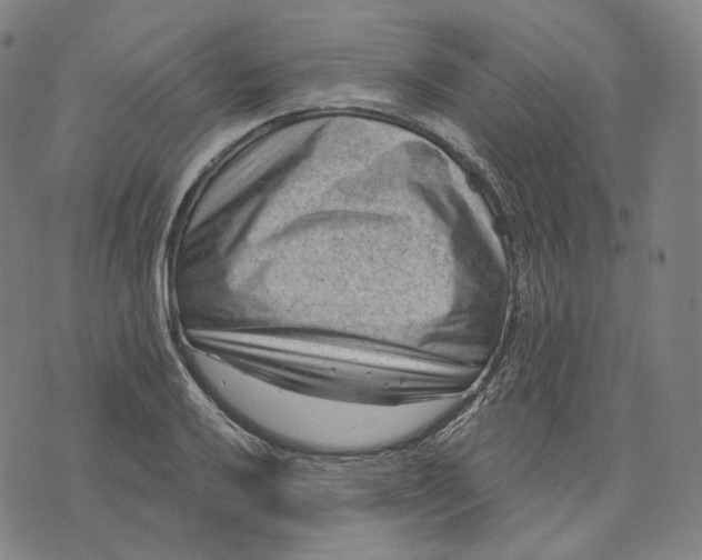 X0000071801032200607211642