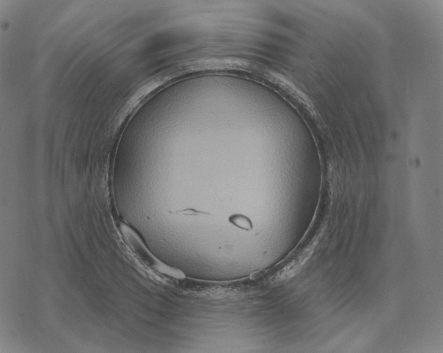 X0000071801033200607211642