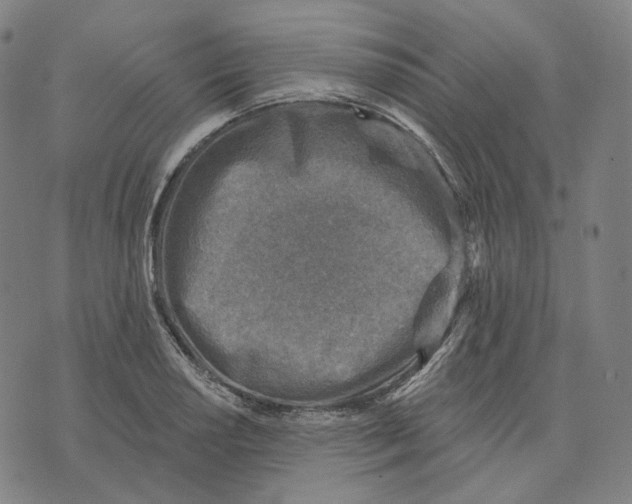 X0000071801034200607211642